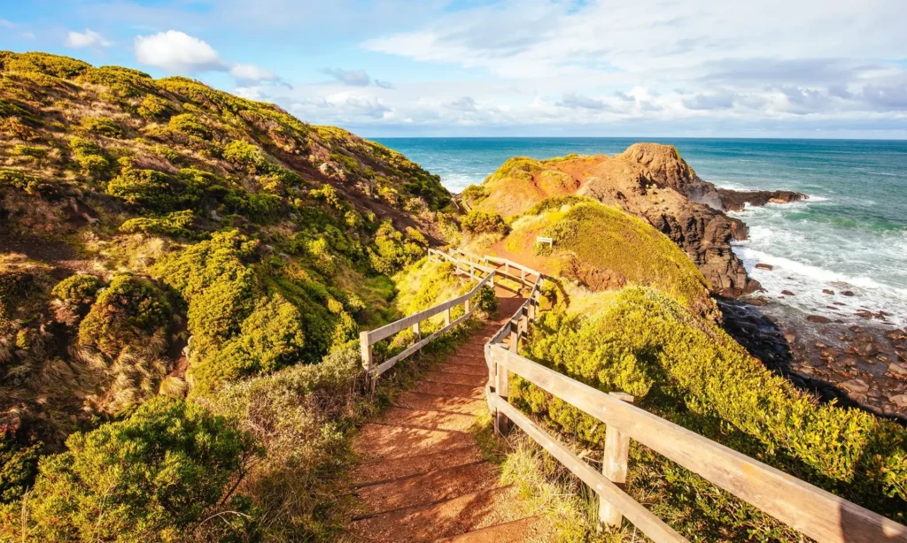 Flinders Blowhole | Verve Vacation Rentals - Alloggio