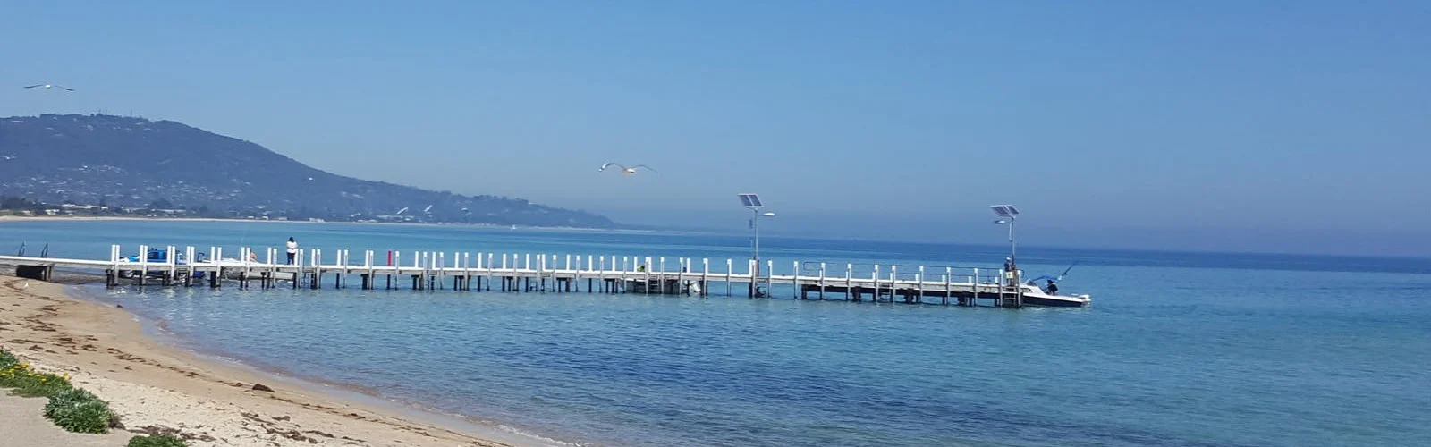 Safety Beach | Verve Vacation Rentals - Alloggio